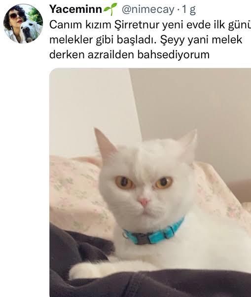 Benim yakışıklıma bakar mısınız?