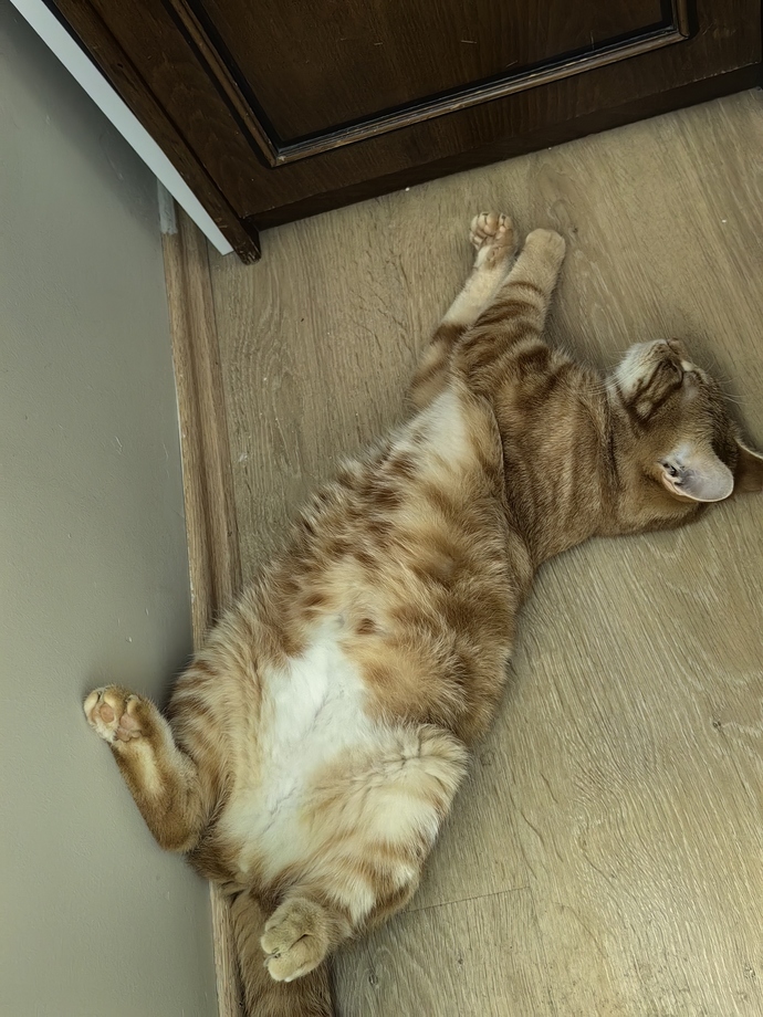Benim yakışıklıma bakar mısınız?