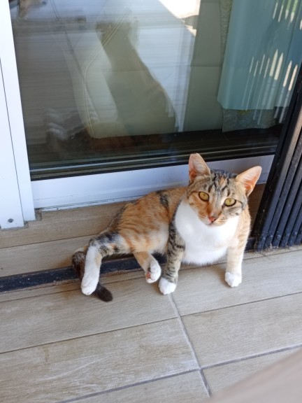 Benim yakışıklıma bakar mısınız?