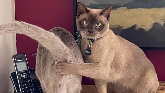 Böyle hunharca kıskanılmak için ne yapmam lazım?