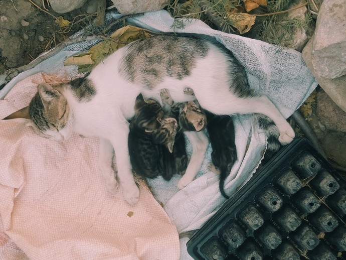 Görünce içinizi ısıtan bir şey var mı?