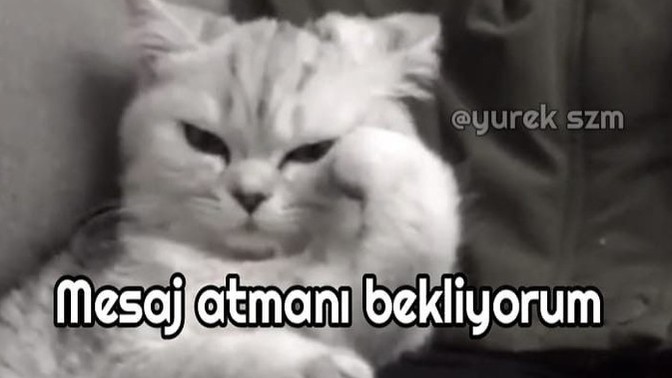 Mesaj atmasını beklediğiniz biri var mı?