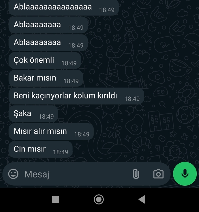 Mesajınıza anında dönüş yapılsın diye Çok önemli. Acill!! Kolum kırıldı! Kaçırılıyorum. gibi yalanlar yazar mısınız 🤣?