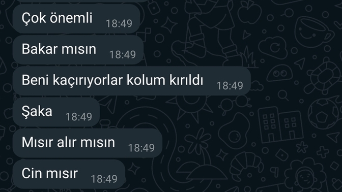 Mesajınıza anında dönüş yapılsın diye "Çok önemli. Acill!! Kolum kırıldı! Kaçırılıyorum." gibi yalanlar yazar mısınız 🤣?