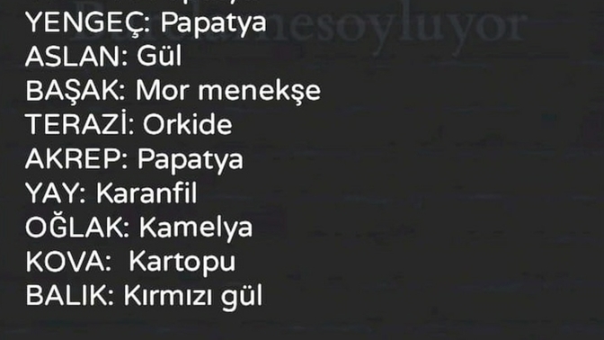 Burclarin sevdigi cicekler?