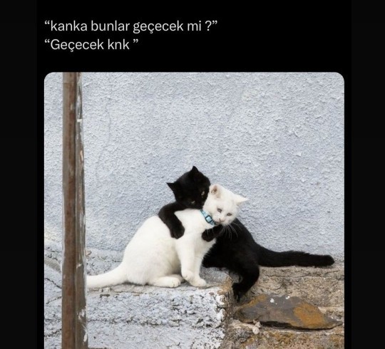 Teselli edeniniz var mı?