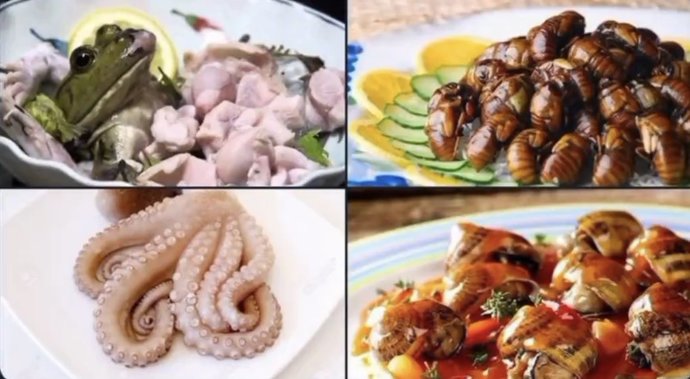 Açlıktan ölmek üzeresin ve birini yemek zorundasın hangisini yerdiniz?