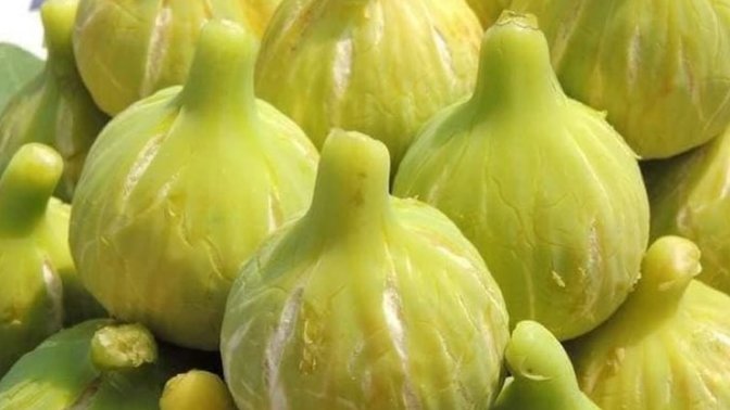 Bu meyvenin adı nedir?