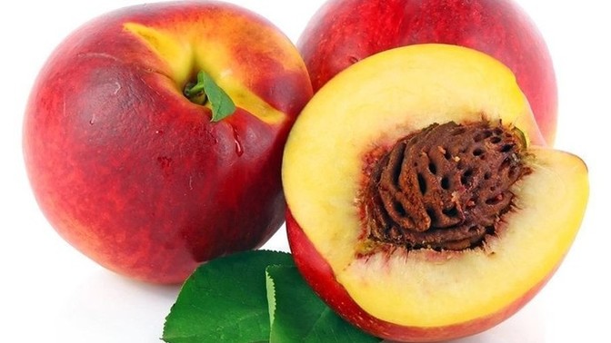Nektari buzluğa atılır mı, deneyen oldu mu?