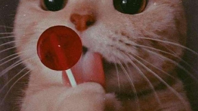 Senin antidepresanın nedir?