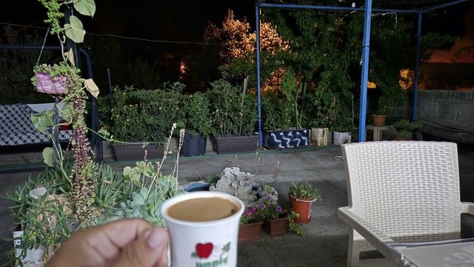Gececiler neler yapıyor bakalım?