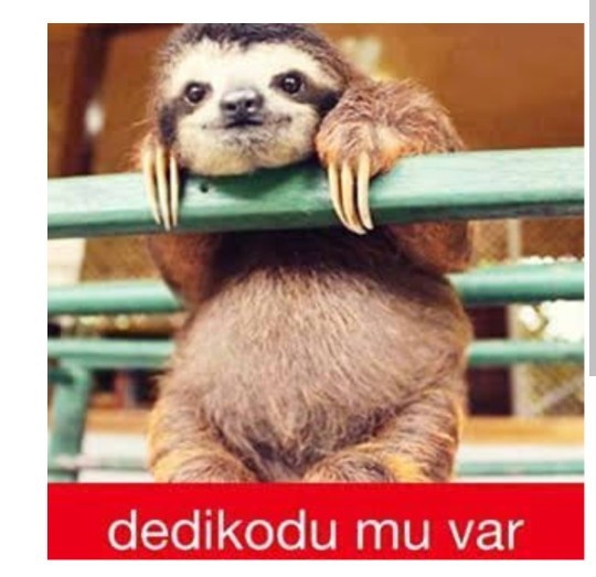 Başkaları sizin tanıdığınız biri hakkında dedikodu yapsa bunu sorgular mısınız yoksa umrunuzda olmaz mı?