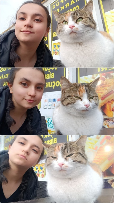 Vahşi kedim Müncübemle nasılız?