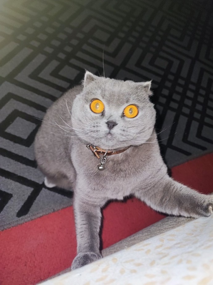 En son ne zaman birisi gözlerinize aşık aşık baktı?