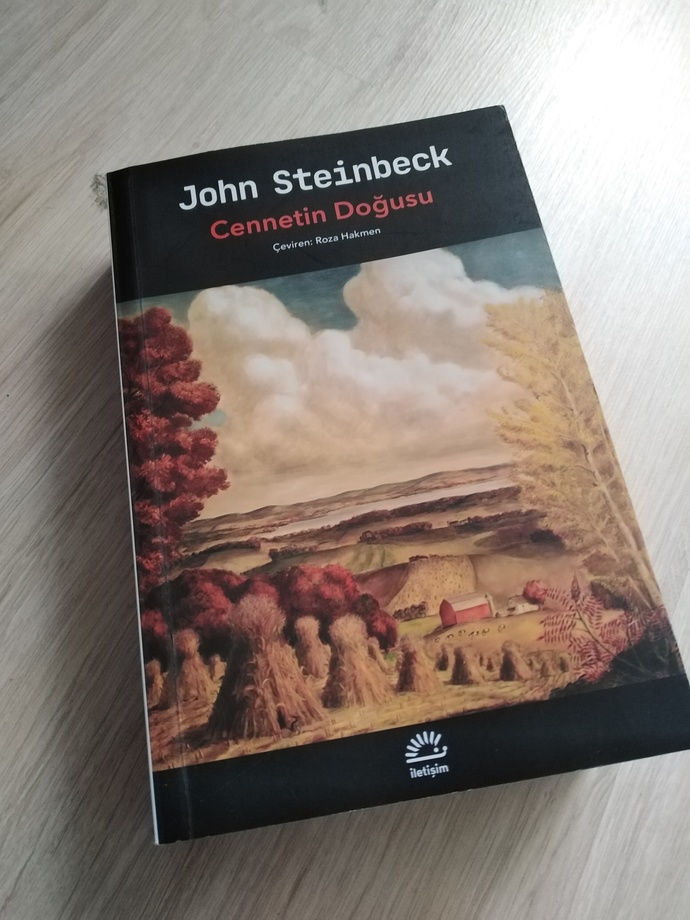 Kitap felan filan okuyo musunuz arada sırada?