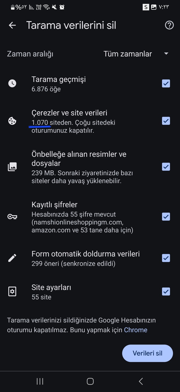 Googelde ya da chrome de kaç üyeliğiniz var?