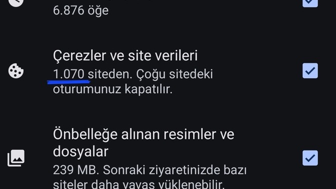 Googelde ya da  chrome de kaç üyeliğiniz var?