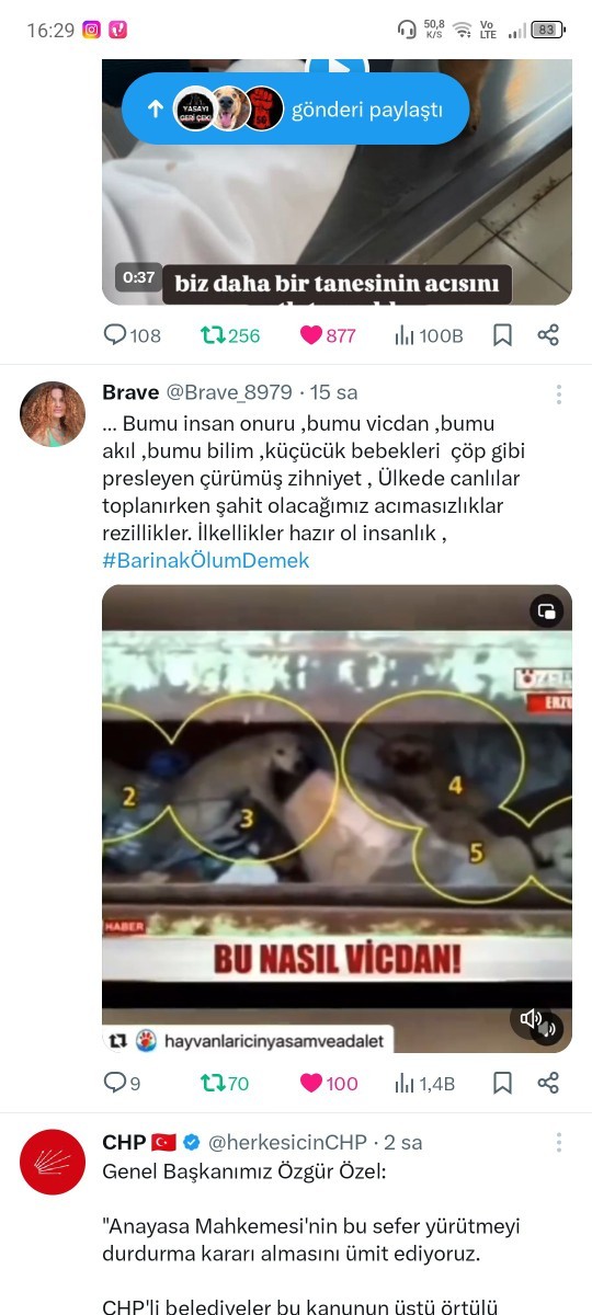 Mecliste kabul edilerek yasalaşan sokak hayvanları ile ilgili olan düzenlemeye nasıl bakıyorsunuz? Alınan kararları doğru mu sizce?