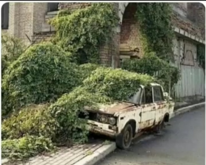 Ne göz varmış sizde bugün arabamla müzik eşliğinde giderken hafif yoldan saptı, şimdide sarı ışık çıkıyor ne bu bilen var mı 🤭?
