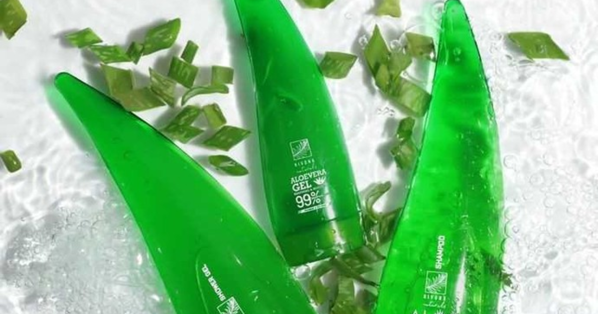 Aloe vera jeli nasl kullanlr? - KizlarSoruyor