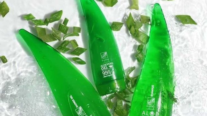 Aloe vera jeli nasıl kullanılır?