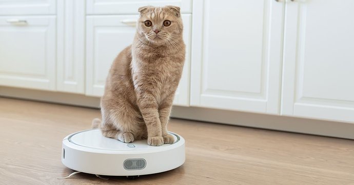 Kedi olan evde robot süpürge mutlaka olmalı mı?