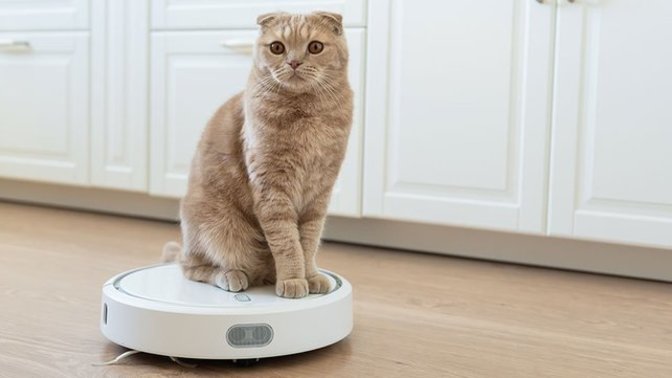 Kedi olan evde robot süpürge mutlaka olmalı mı?