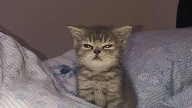 “Ben böyleyim değişmem” diyenden olur mu?