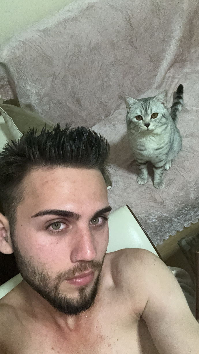 Kedi olan evlerde rahat eder misiniz?
