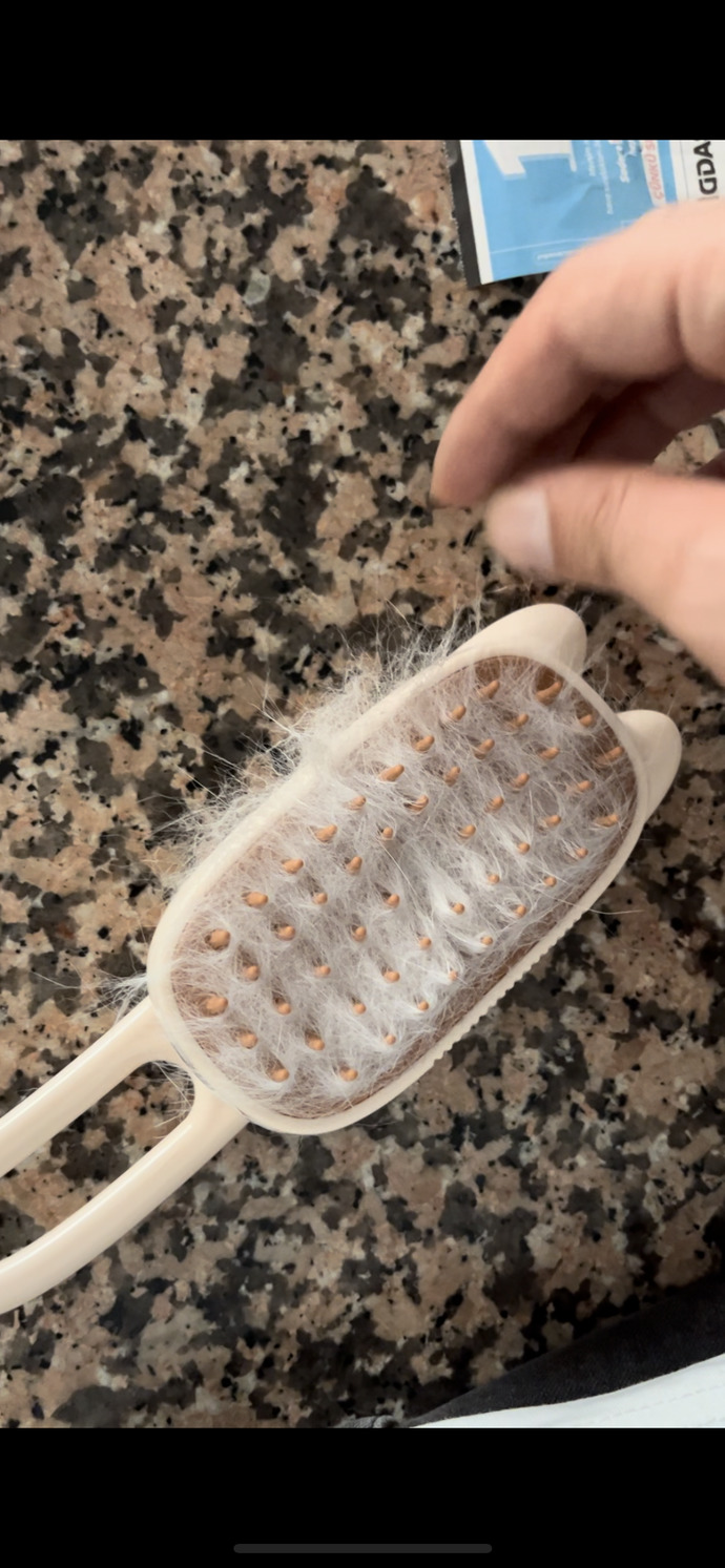 Kedi olan evlerde rahat eder misiniz?