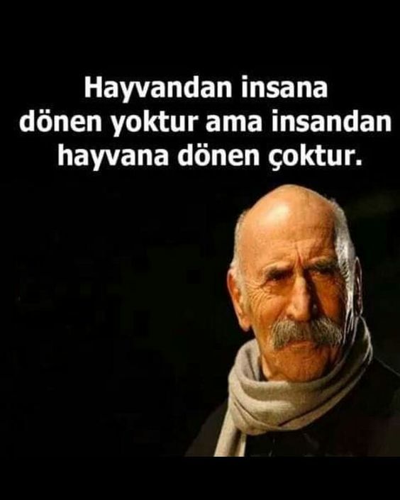 Sizce insanlar değişir mi 🎀🌟🧚‍♀️ ?