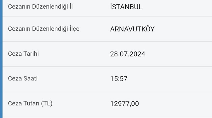Bu güne kadar yediğiniz en yüksek trafik cezası?