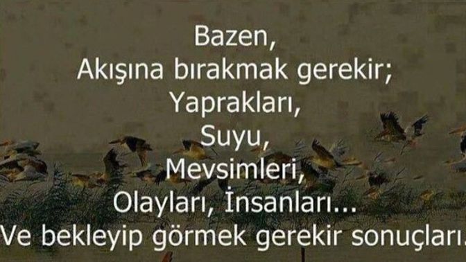 Hayattaki mottonuz nedir?