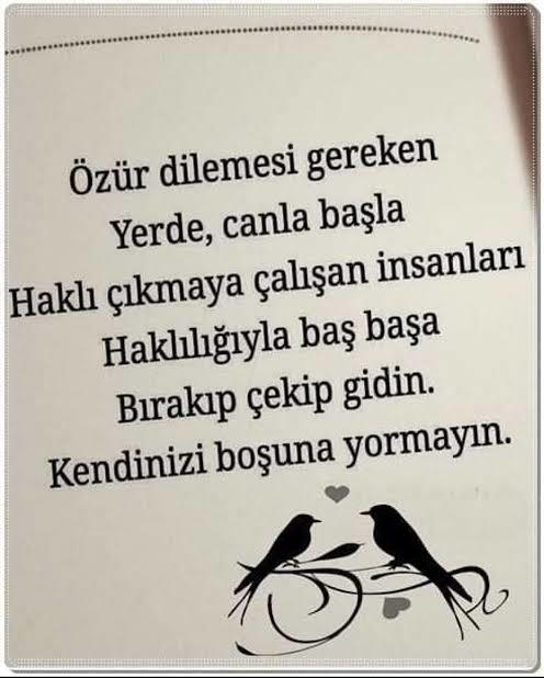 Özür dilemen gereken konularda özür dilememekte inatçı mısın?
