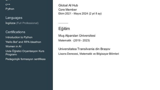 Bu cv ile işe alınır mıyım?