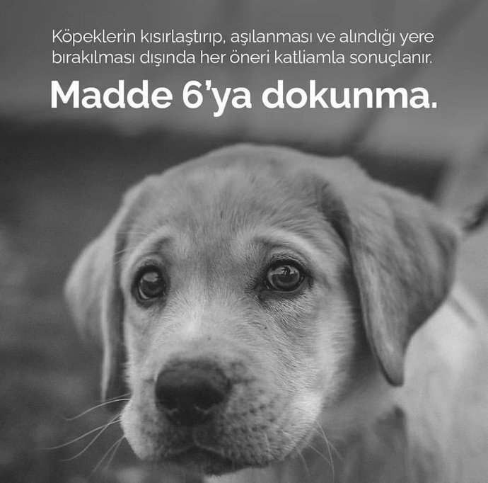 Gündemimizi en sarsan olay #yasayıgeriçek. Siz ne düşünüyorsunuz?