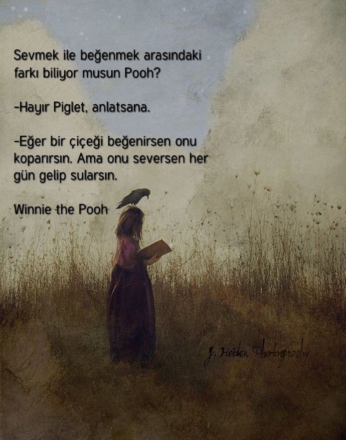 Sevmek ile Beğenmek arasındaki fark nedir sizce?