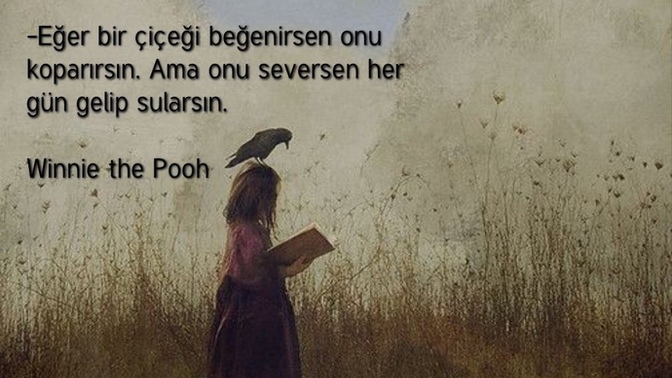 Sevmek ile Beğenmek arasındaki fark nedir sizce?