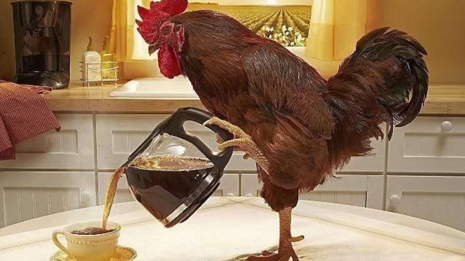 @Fearlesgirll ile sizinle kahve içip içmeyeceğimizi söyleyelim mi?
