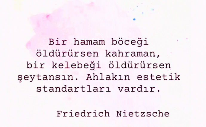 Ahlakın estetik standartları var mıdır?