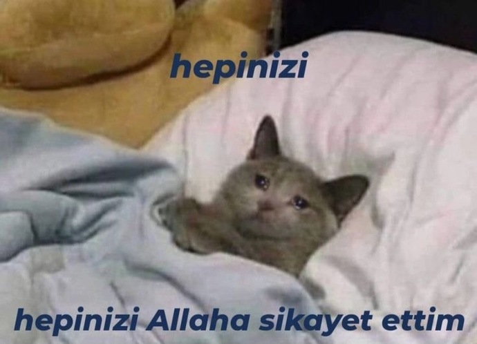 Tüm insanlığa küsüp trip attığınız oluyor mu?