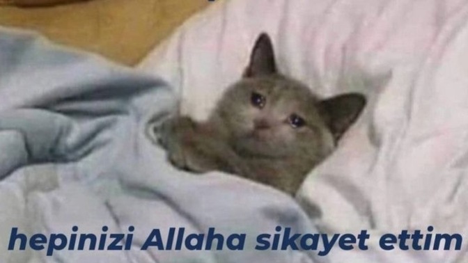 Tüm insanlığa küsüp trip attığınız oluyor mu?