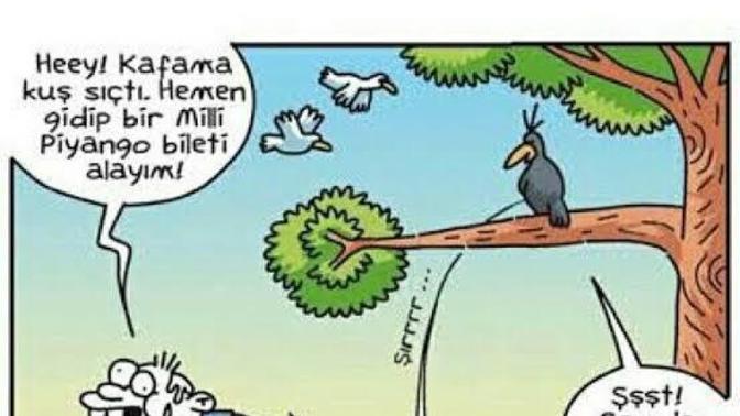 Dışarıda yürürken üzerinize kuş pisledi mi hiç?