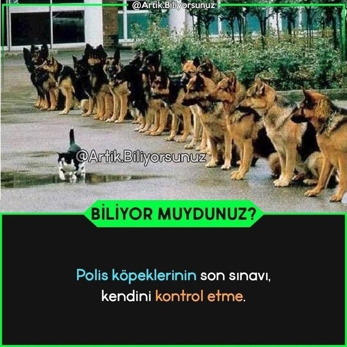 Kendini kontrol edebiliyor musunuz?