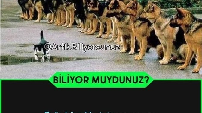 Kendini kontrol edebiliyor musunuz?