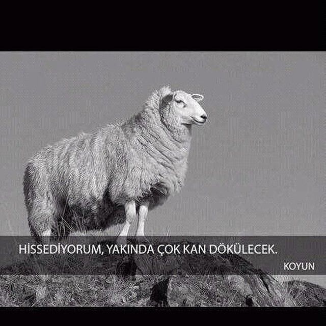 O gece ne yapilir?