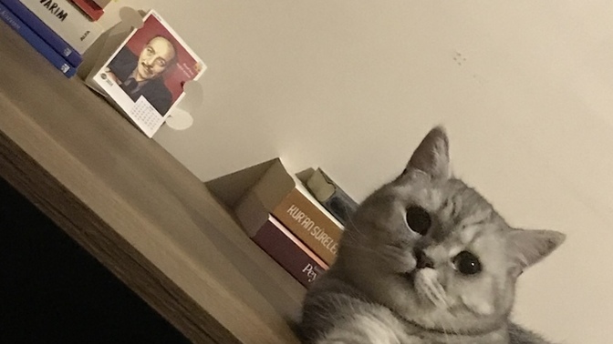 “Kredi çekerim yine de taviz vermem” dediğiniz bir zevkiniz var mı?