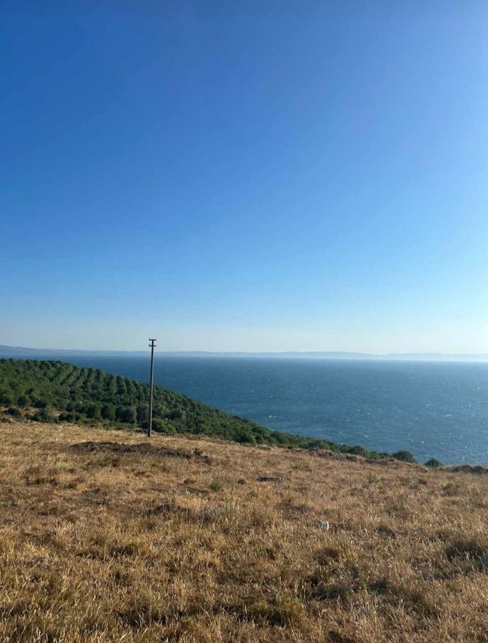 Laf sokmayı sever misin?
