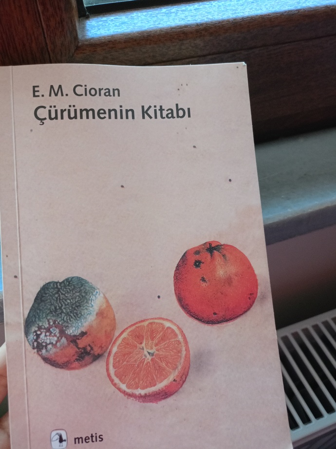 Şu anda hangi kitabı okuyorsunuz?