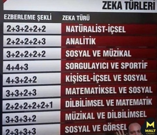 Sizin zekanız hangisi?